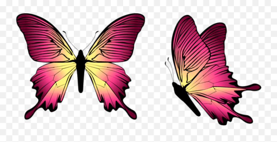 Free Png Download Butterfly Clipart Png Photo Png Images - Silhouette Butterfly Vector Free Emoji,Free Butterfly Clipart