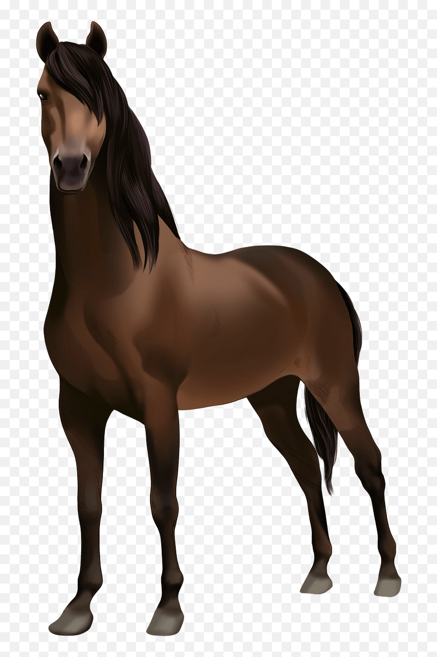 Morgan Horse Clipart - Morgan Horse Clip Art Emoji,Horse Clipart