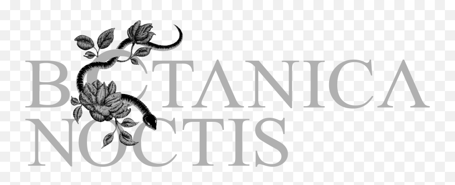 About Botanica Noctis Emoji,Noctis Png