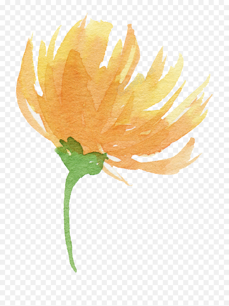Download Hd Clip Library For Yellow Watercolor Flowers Free Emoji,Transparent Watercolor Flowers