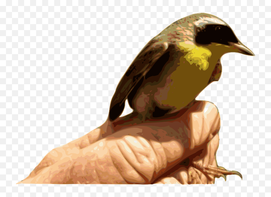 Free Clipart Yellowthroat Bird Merlin2525 Emoji,Sparrow Clipart