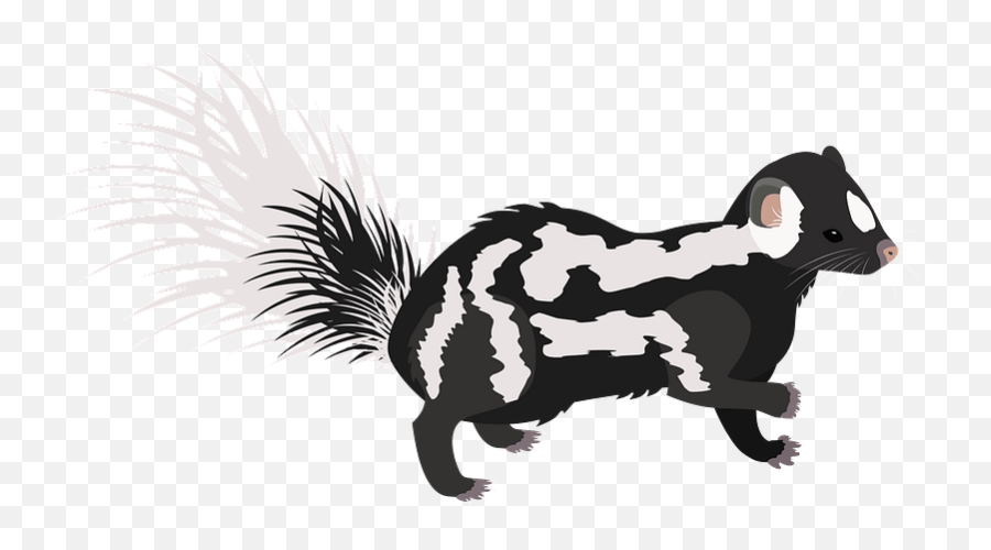 Eastern Spotted Skunk Clipart - Animal Figure Emoji,Skunk Clipart