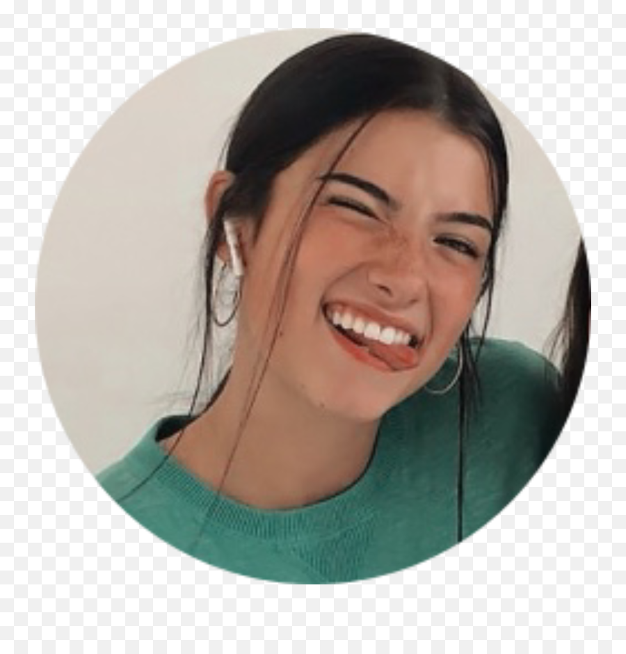 Profilepicture Profile Picture Png Sticker By Scarlet - Aesthetic Charli D Amelio Png Emoji,Tiktok Icon Png