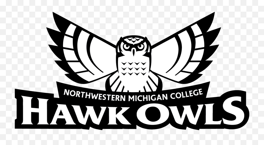 Public Relations Graphic Identity And Logos Northwestern - Northwestern Michigan College Emoji,Northwestern University Logo
