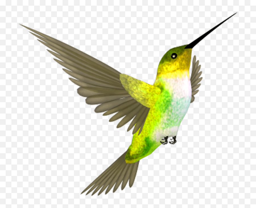 Hummingbird Png Clipart - Yellow Hummingbird Png Emoji,Hummingbird Png