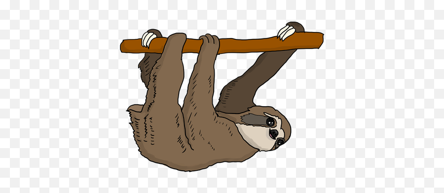 Monochrome Photography Carnivoran - Sloth Hanging Png Emoji,Armadillo Clipart