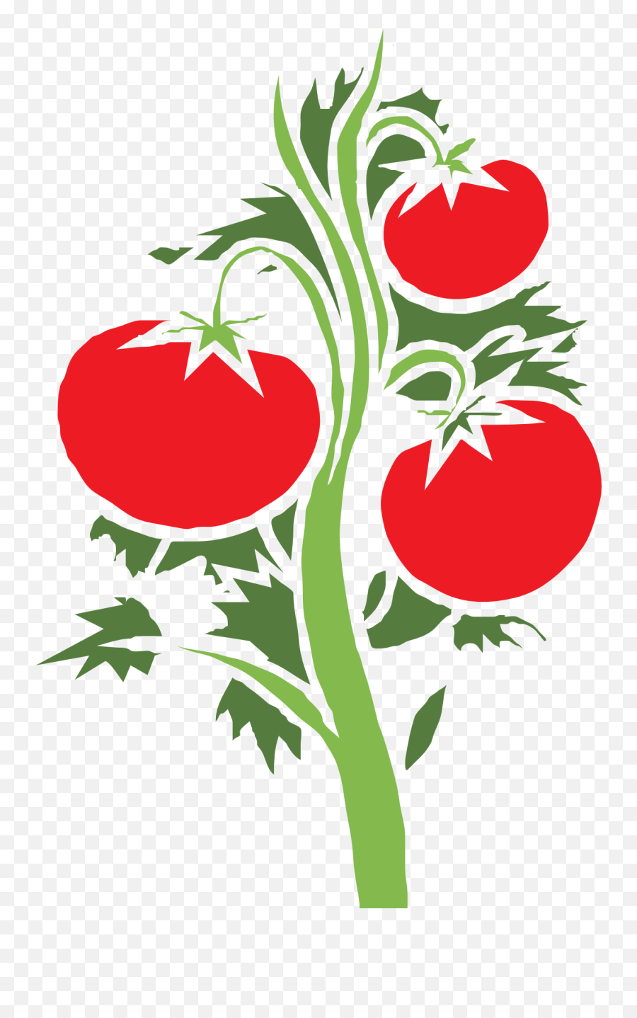 Clipart Of Ripe Tomato Vegetables Free Image Download - Clipart Tomato Plant Emoji,Fruits And Vegetables Clipart