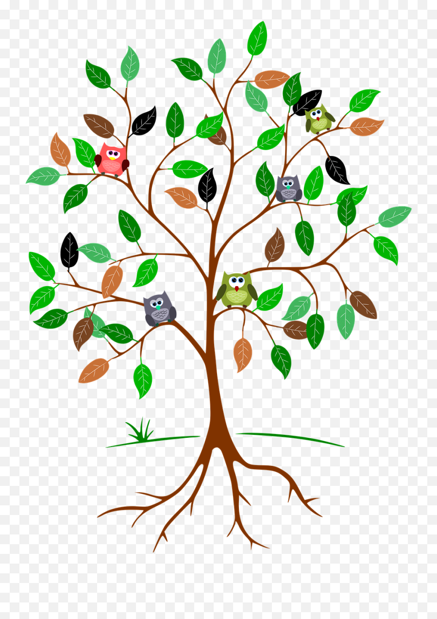 Tree Root Aesthetic - Root Word Bio Emoji,Transparent Tree Roots