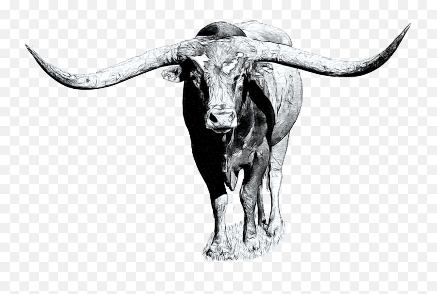 Texas Longhorn Cattle Graphics - Texas Longhorn Logo Sketch Emoji,Longhorn Logo