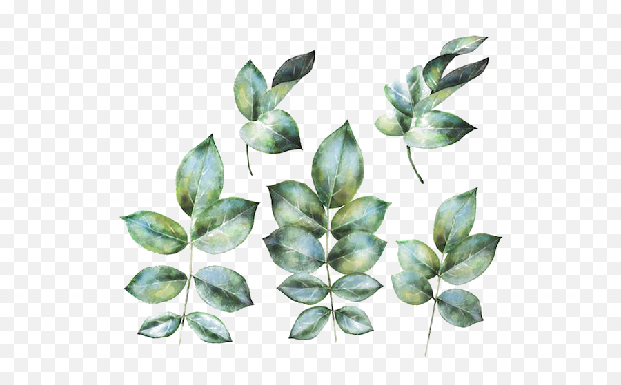 Green Leaves Png Pic Background - Watercolor Leaves Tattoo Emoji,Green Leaves Png
