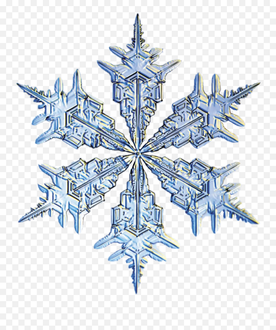 Download Snowflake Animated Png Image With No Background - Spring 44 Emoji,Animated Png