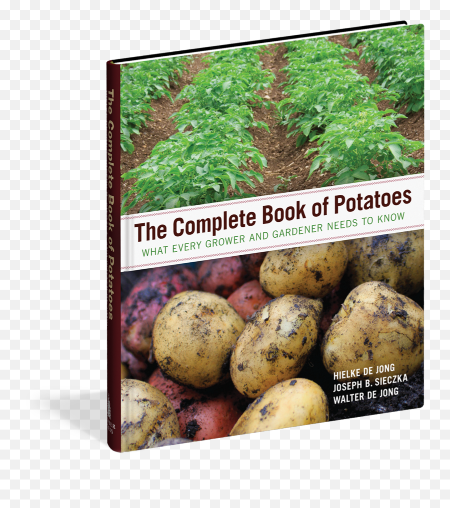 Download Potatoes Png - Book Of Potatoes Emoji,Potatoes Png