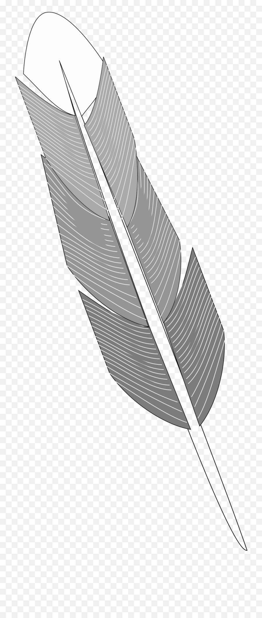 Public Domain Clip Art Image Grayscale Feather Id - Portable Network Graphics Emoji,Feathers Clipart