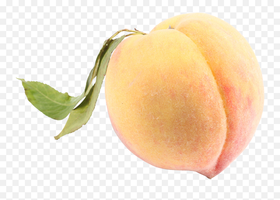 Peach Clipart Png - White Peach Png Emoji,Peach Clipart