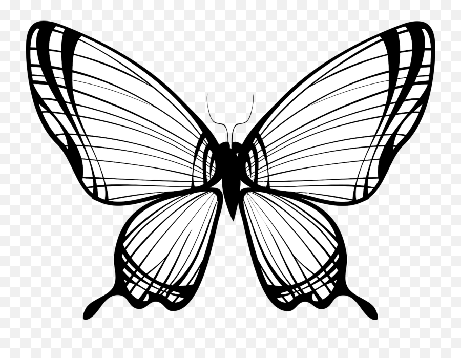 Animal Butterfly Flying Insect Png Picpng Emoji,Butterfly Flying Png