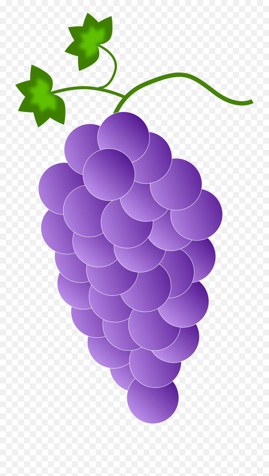 Purple Grapes Clipart Free Download Transparent Png Emoji,Grapes Transparent Background