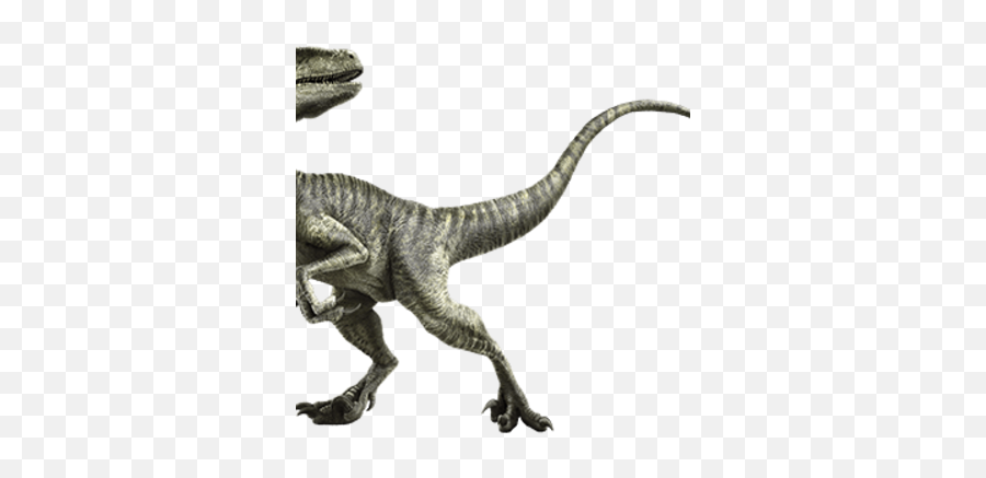 Velociraptor - Dinosaur Pokemon Emoji,Velociraptor Png