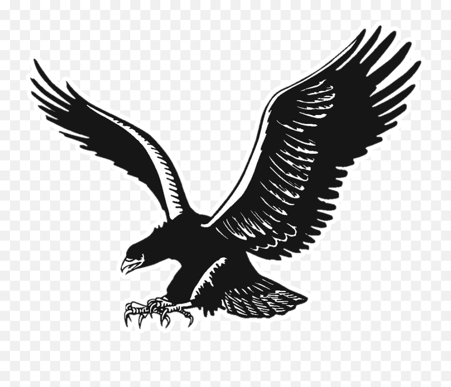 Brandon - Full Hd Eagle Hd Logo Emoji,Blackhawks Logo