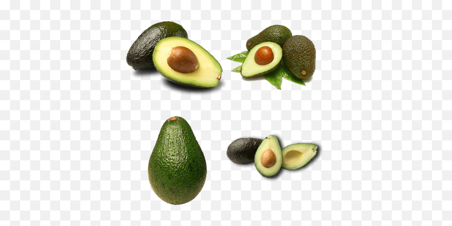 Vegetables Transparent Png Images - Avocado Butter Fruit Png Emoji,Veggies Png
