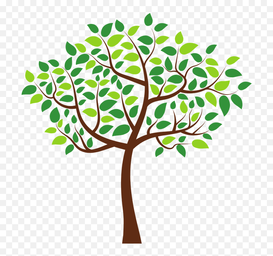 Tree Section Png - 1 Wedding Tree Clipart 2207061 Vippng Emoji,Redwood Tree Clipart