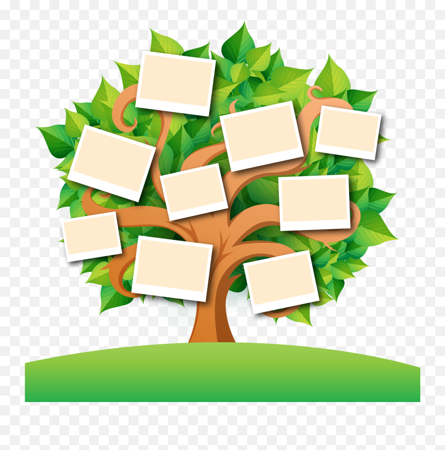 Family Tree Transparent Images Png - Transparent Family Tree Emoji,Family Tree Clipart Free