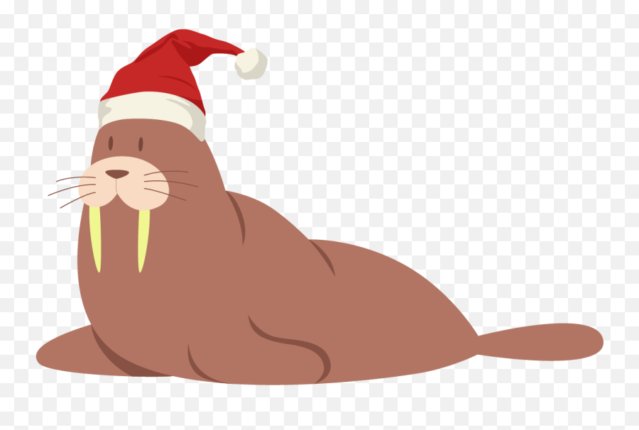 Animals Seals Wearing Christmas Hats Graphic By Sadeyanlaris Emoji,Santa Hats Transparent