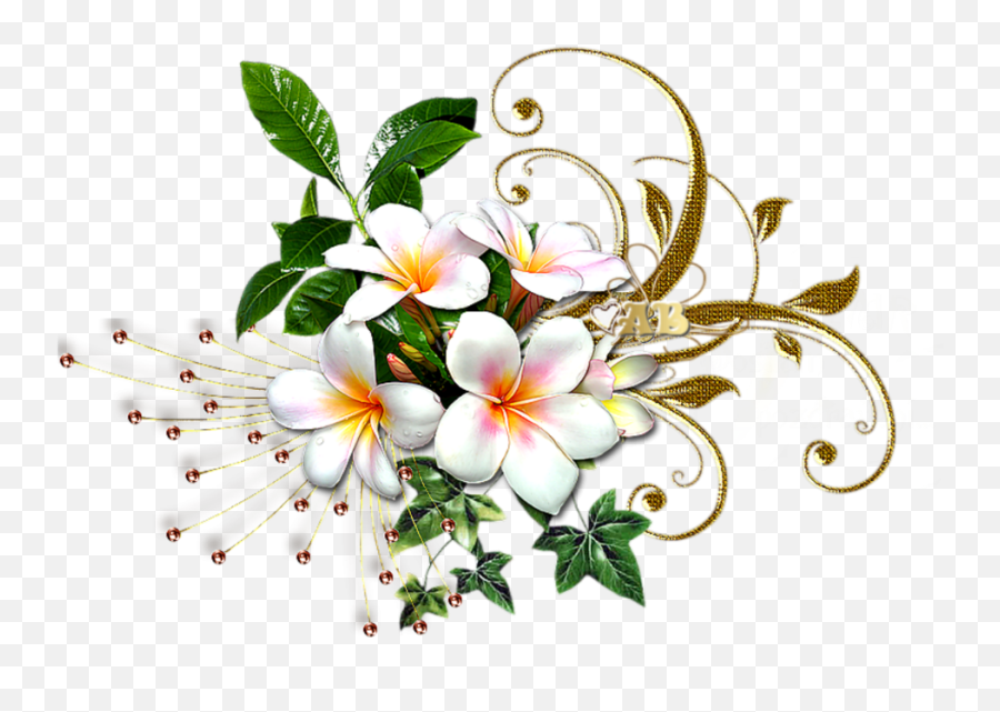 Mq White Gold Flowers Flower Garden - Gold And White Flower Emoji,White Flower Png