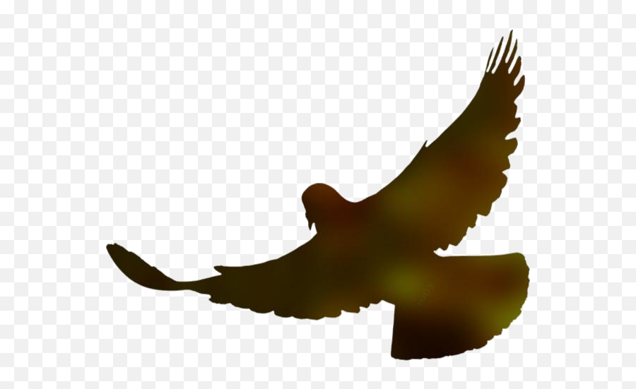 Dove Feathers Png Clipart Download Pngimagespics - Falconiformes Emoji,Feathers Clipart