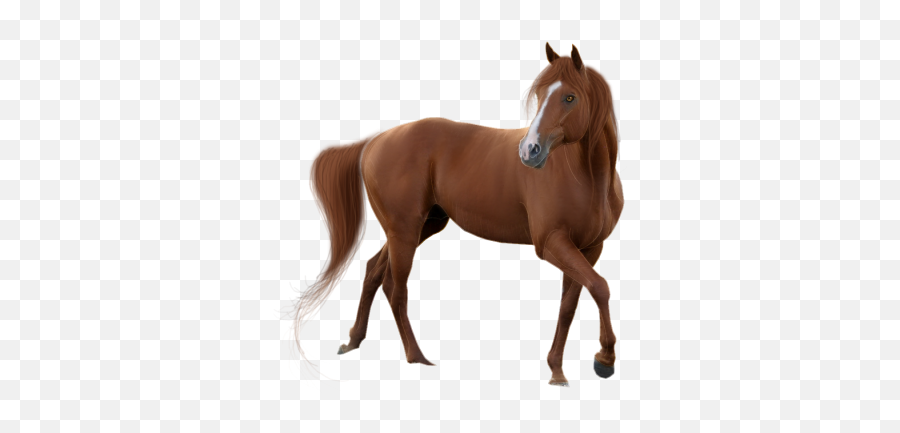 Download Horse Free Png Transparent - Horse Animal White Background Emoji,Horses Clipart
