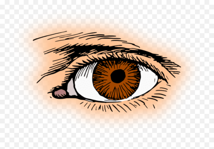 Download Eye Color Iris Pupil Human Eye - Brown Eye Clipart Emoji,Eyeballs Clipart