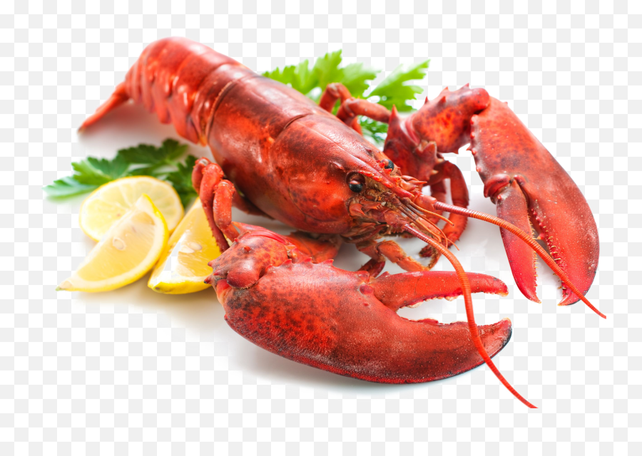Lobster Transparent Png Svg Clip Arts Download - Download Emoji,Shrimp Transparent Background