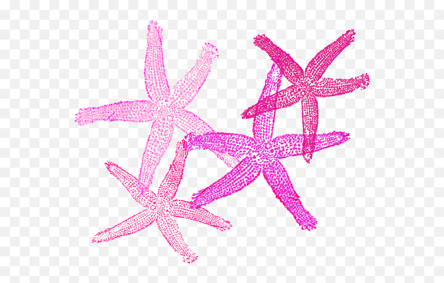 Download Starfish Clipart Peach - Private Listing For Pam 2 Lovely Emoji,Starfish Clipart