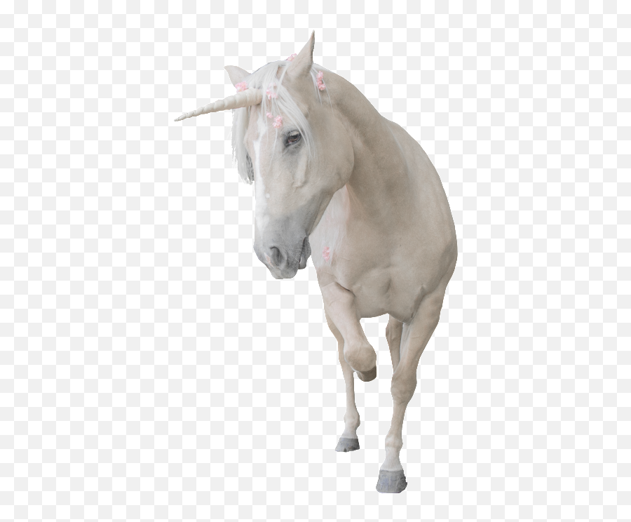 Download Unicorn Png Transparent That Is Running - White Transparent Background White Unicorn Png Emoji,Unicorn Transparent Background