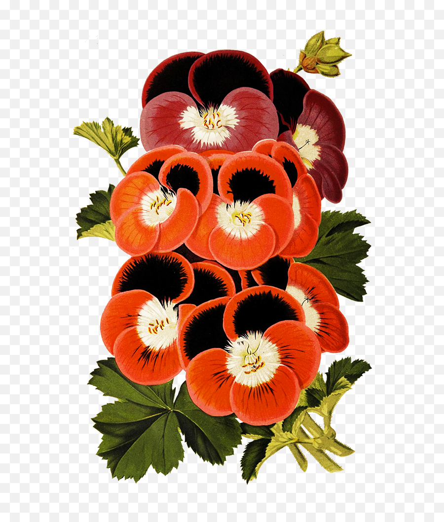 Digital Scrapbooking Flowers Emoji,Scrapbook Png