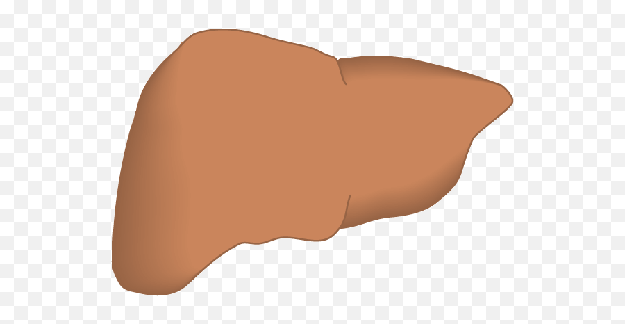 Bone Kidney Liver Muscle - Liver Gif Clipart Emoji,Muscle Clipart