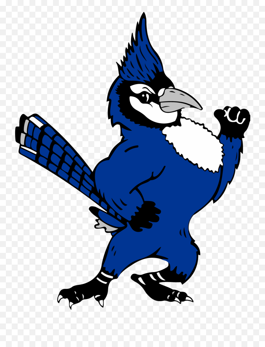 Cambridge High School Learn From The Past Achieve In The - Cambridge High School Wi Logo Emoji,Blue Jays Logo