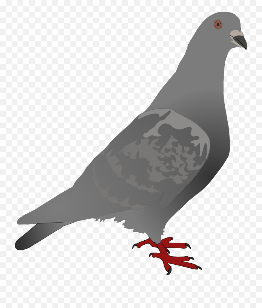 Black Pigeon Svg Vector Black Pigeon Clip Art - Svg Clipart Homing Pigeon Emoji,Pigeon Clipart