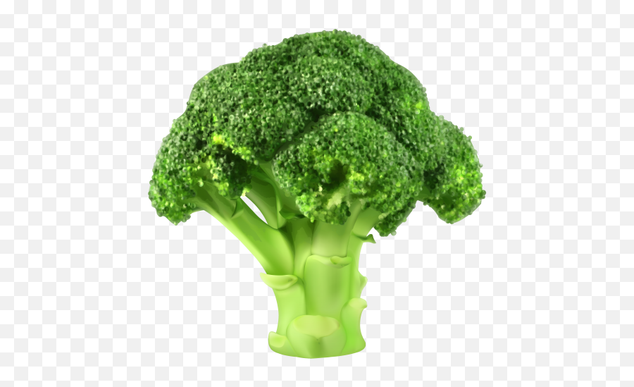 Broccoli Png Clipart Best Web Clipart Broccoli Fresh - Broccoli Clipart Png Emoji,Fruits And Vegetables Clipart