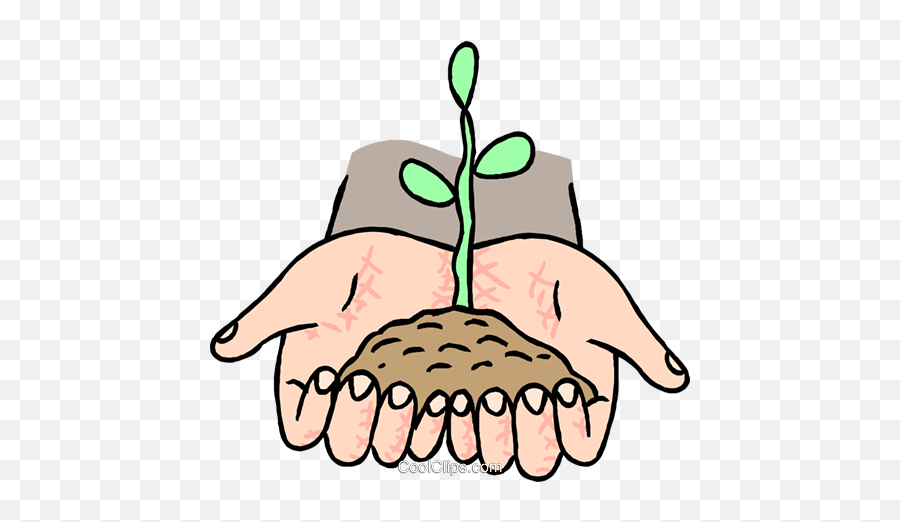 Growth Seedling Germinating From Soil Royalty Free Vector - Natural Science Png Emoji,Soil Clipart