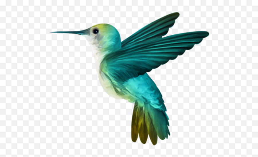 Download Free Png Hummingbird Png - Hummingbird Png Emoji,Hummingbird Png