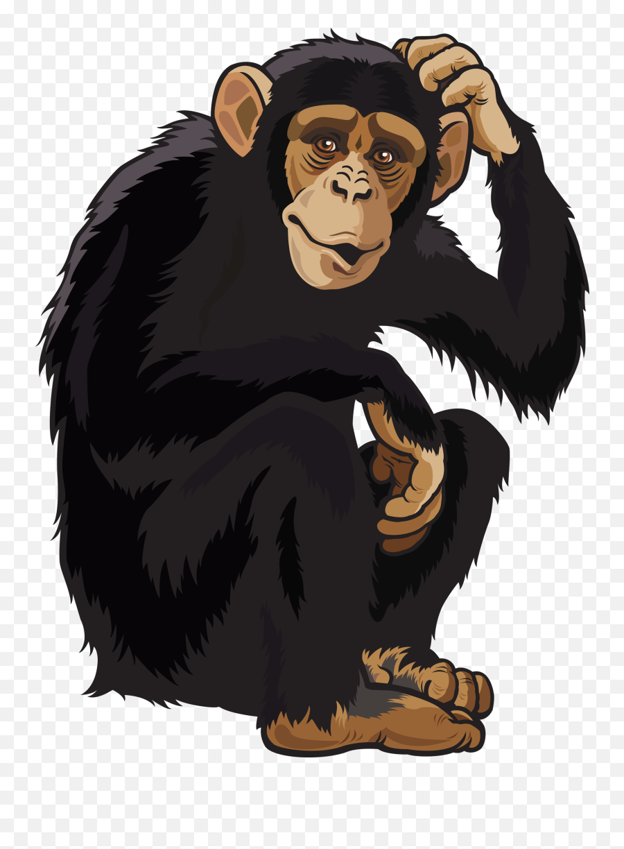Download Monkey Png Images - Wild Animals Clipart Png Png Chimpanzee Clipart Emoji,Animal Clipart