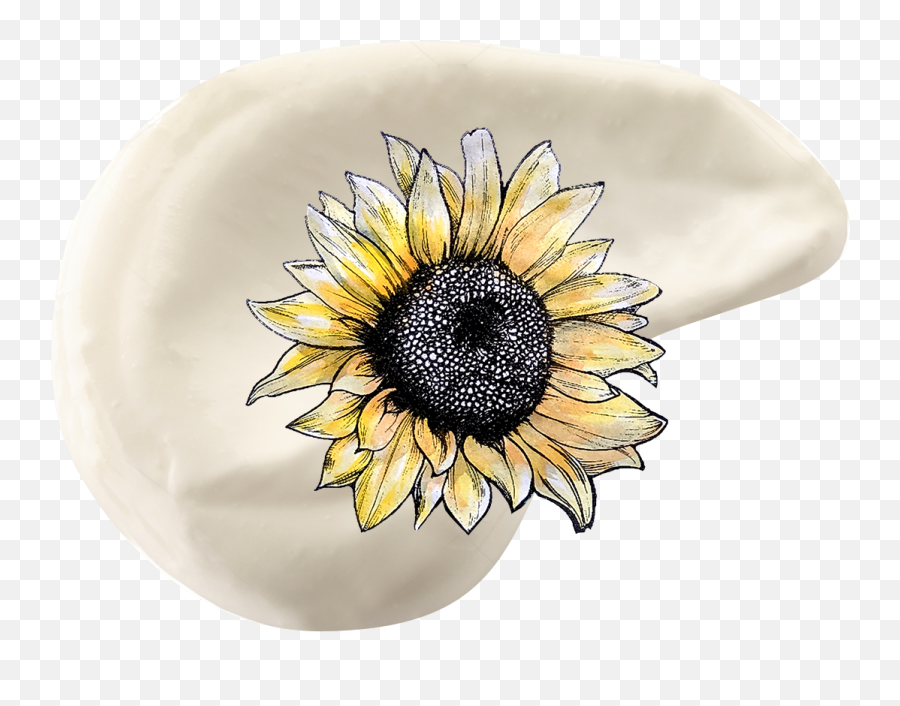 Sunabloom - Common Sunflower Emoji,Sunflowers Png