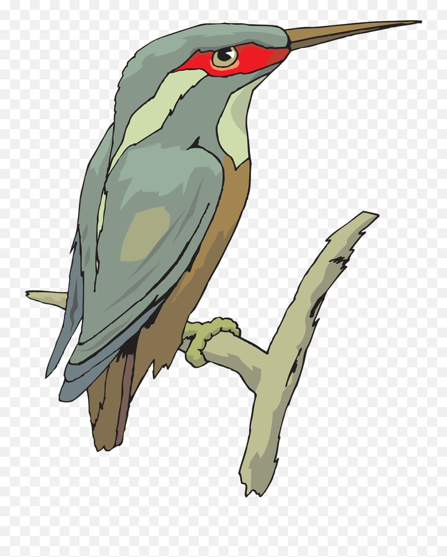 Download Bird Wings Beak Feathers Transparent Image - King Kingfisher Head Cartoon Emoji,Feathers Clipart