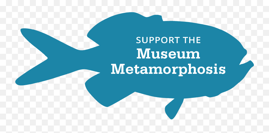Delmnh - Fish Emoji,American Museum Of Natural History Logo