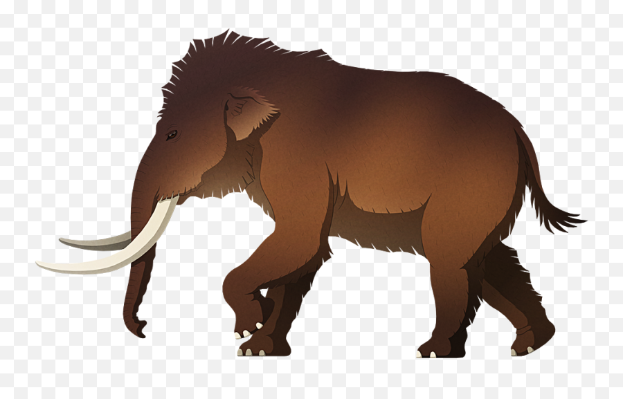 Pygmy Mammoth - Dwarf Mammoth Emoji,Mammoth Png