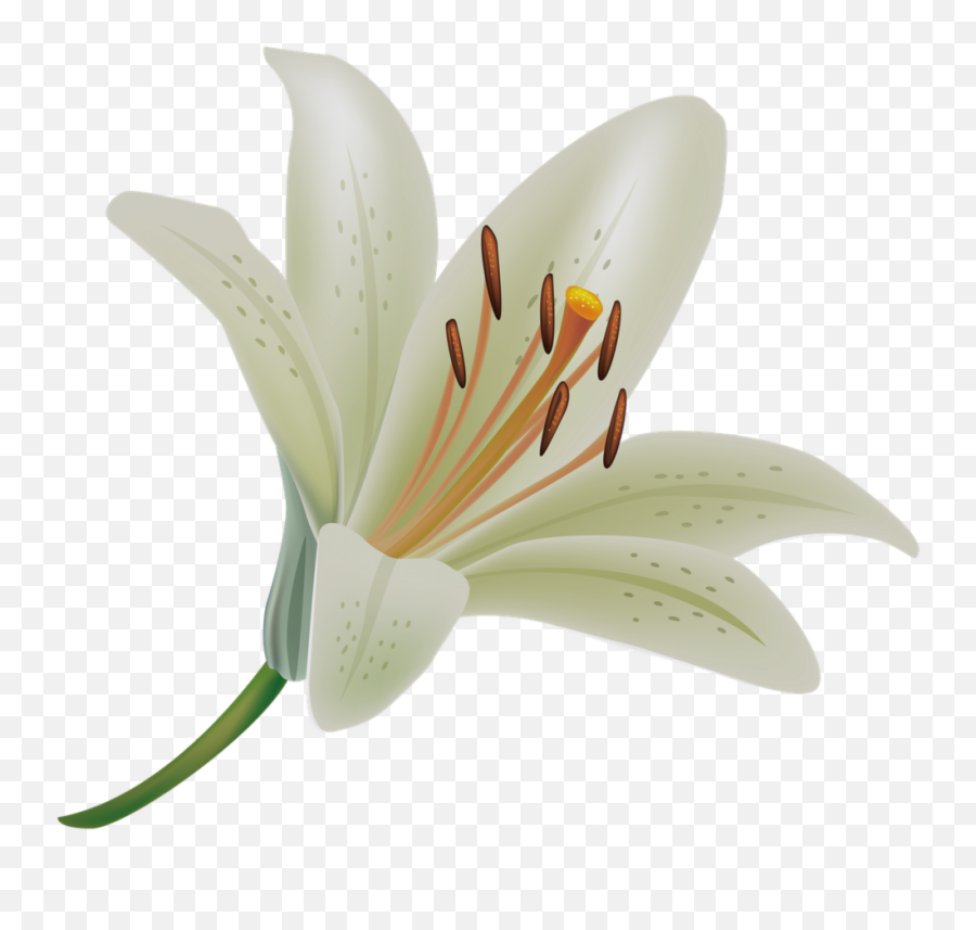 Lily Clipart Funeral Wreath Lily Funeral Wreath Transparent - White Funeral Lilies Png Emoji,Easter Lily Clipart