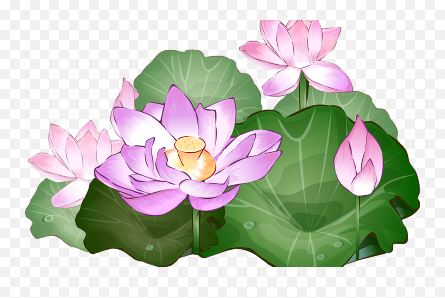 Color Lotus - Lotus Png Emoji,Lotus Flower Png