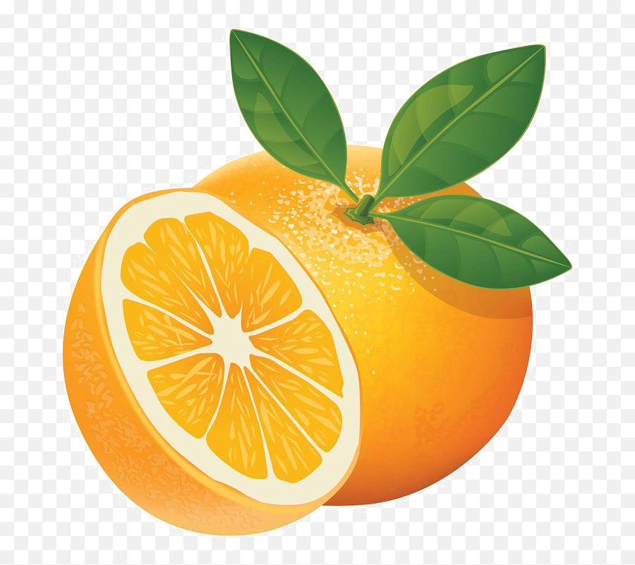 Orange Slice Png High - Illustrator Orange Vector Png Emoji,Orange Slice Png