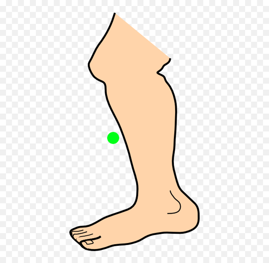 Download Shin - Animated Image Of Leg Emoji,Animated Png