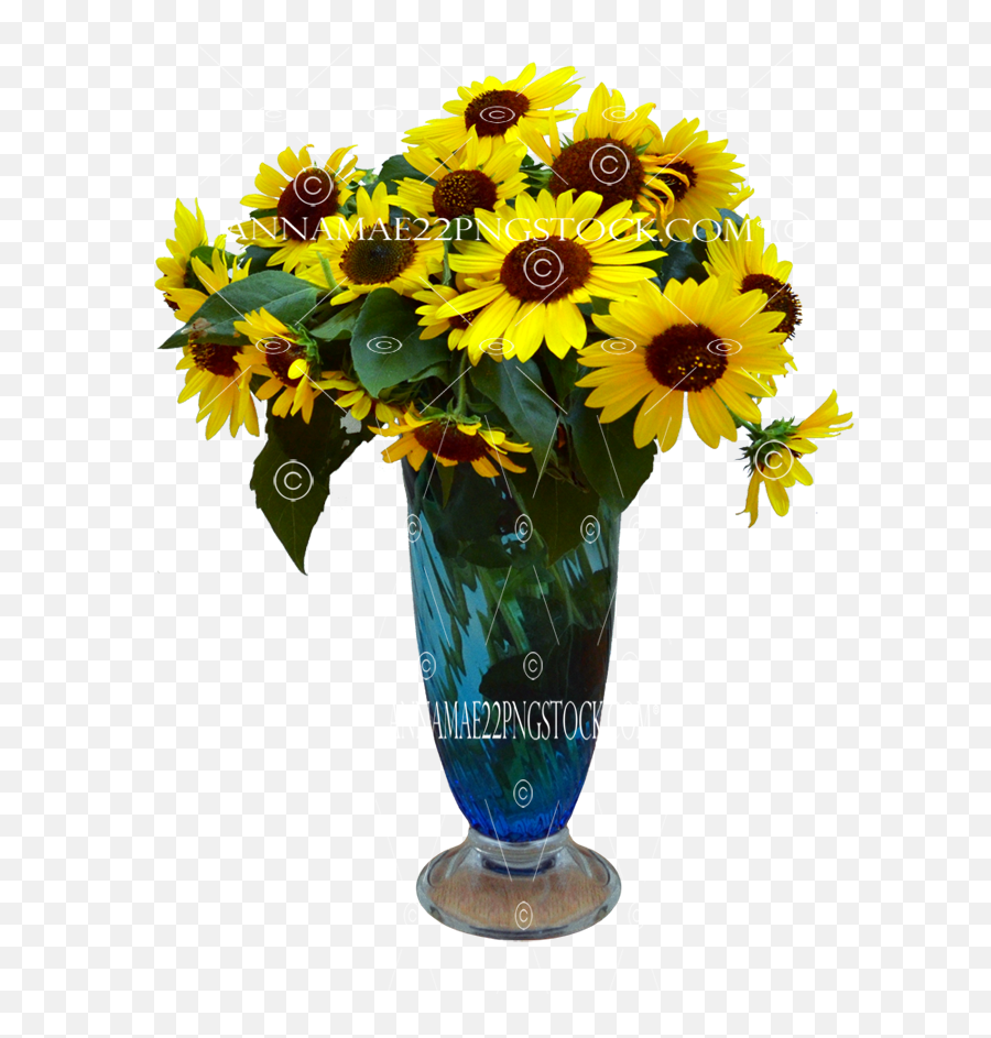 Png Stock Photos - Transparent Black Vase Png Emoji,Flowers Png
